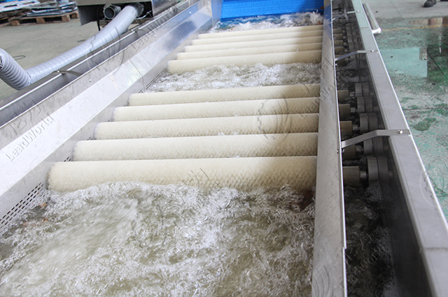 鼓泡清洗機(帶毛滾)